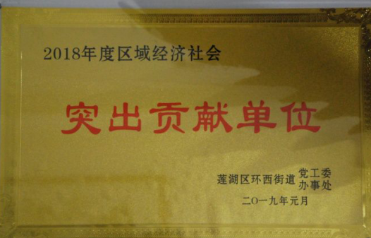 海納集團被蓮湖區環西街道評為2018年度區域經濟社會“突出貢獻單位”